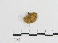 登錄號:F0021059藏品圖，第1張