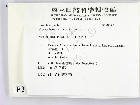皺木耳藏品圖，第2張