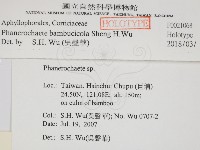 登錄號:F0021068藏品圖，第2張