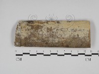 登錄號:F0021069藏品圖，第1張