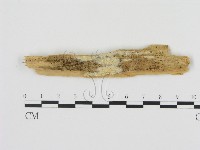 登錄號:F0021072藏品圖，第1張