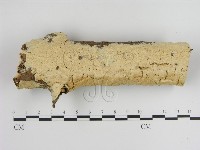 登錄號:F0021073藏品圖，第1張