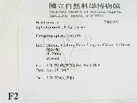 登錄號:F0021074藏品圖，第2張