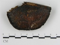 登錄號:F0021074藏品圖，第3張