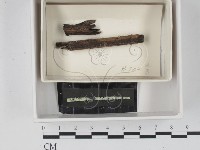 登錄號:F0021075藏品圖，第1張