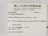 登錄號:F0021078藏品圖，第2張