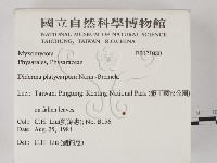 登錄號:F0021080藏品圖，第2張