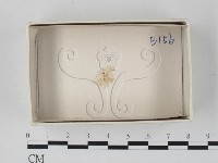 登錄號:F0021080藏品圖，第1張