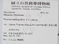 登錄號:F0021082藏品圖，第2張