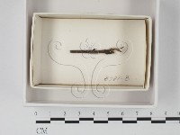 登錄號:F0021083藏品圖，第1張
