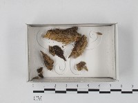 登錄號:F0021084藏品圖，第1張