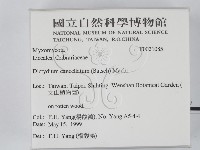 登錄號:F0021085藏品圖，第2張