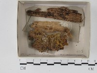登錄號:F0021087藏品圖，第1張