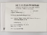 登錄號:F0021090藏品圖，第2張