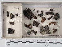 登錄號:F0021090藏品圖，第1張
