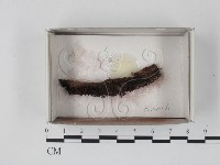 登錄號:F0021093藏品圖，第1張