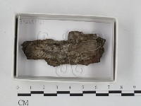 登錄號:F0021094藏品圖，第1張