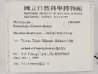 館號:F0021095藏品圖，第2張