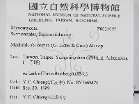 登錄號:F0021097藏品圖，第2張