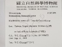 登錄號:F0021098藏品圖，第2張