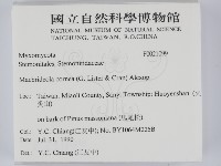 登錄號:F0021099藏品圖，第2張