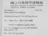 登錄號:F0021100藏品圖，第2張