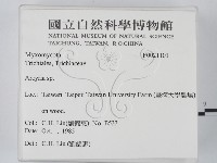 登錄號:F0021101藏品圖，第2張