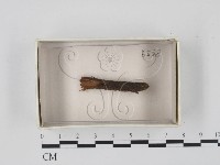 登錄號:F0021103藏品圖，第1張