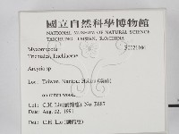 登錄號:F0021104藏品圖，第2張