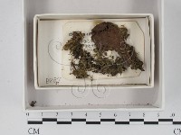 登錄號:F0021104藏品圖，第1張