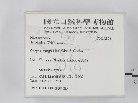 登錄號:F0021106藏品圖，第2張
