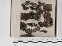 登錄號:F0021112藏品圖，第1張