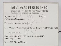 登錄號:F0021113藏品圖，第2張