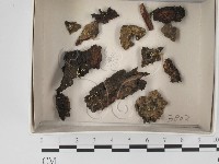 登錄號:F0021114藏品圖，第1張