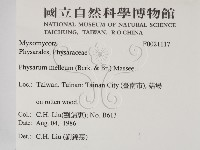登錄號:F0021117藏品圖，第2張