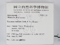 登錄號:F0021119藏品圖，第2張