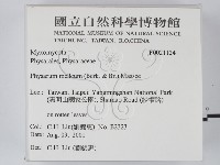 登錄號:F0021124藏品圖，第2張