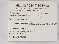 館號:F0021126藏品圖，第2張