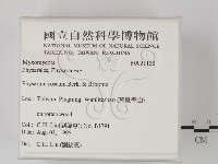 登錄號:F0021128藏品圖，第2張