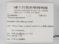 登錄號:F0021129藏品圖，第2張