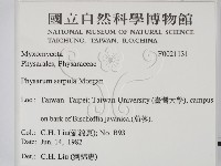 登錄號:F0021131藏品圖，第2張