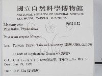 登錄號:F0021132藏品圖，第2張