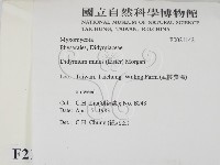 登錄號:F0021142藏品圖，第2張