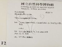 登錄號:F0021146藏品圖，第2張
