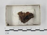 登錄號:F0021155藏品圖，第1張