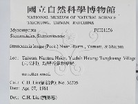 登錄號:F0021156藏品圖，第2張