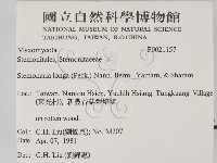 登錄號:F0021157藏品圖，第2張
