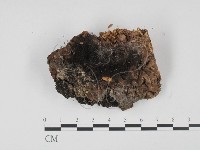 登錄號:F0021157藏品圖，第1張