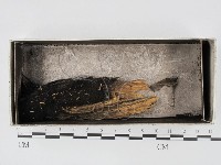 登錄號:F0021158藏品圖，第1張