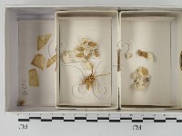 登錄號:F0021160藏品圖，第1張